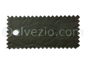 Green Vinyl for Fiat Belvedere