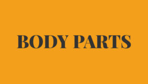 Body Parts FIAT 500 N