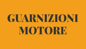 Guarnizioni motore FIAT 600