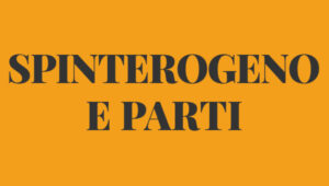 Spinterogeno e parti FIAT 500 N