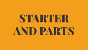 Starter and Parts Autobianchi Bianchina Panoramica