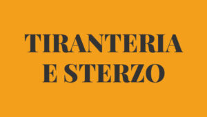 Tiranteria e sterzo FIAT 500 N