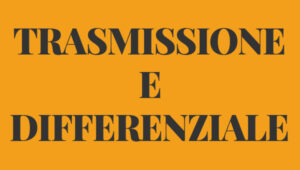 Trasmissione e differenziale FIAT 600