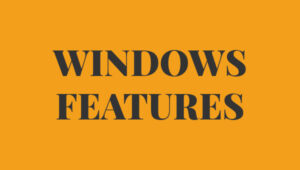 Windows Features FIAT 500 R